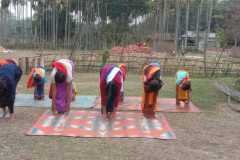 IMG-20220204-WA0031